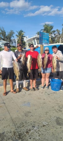 Images Fish N Fever Charters