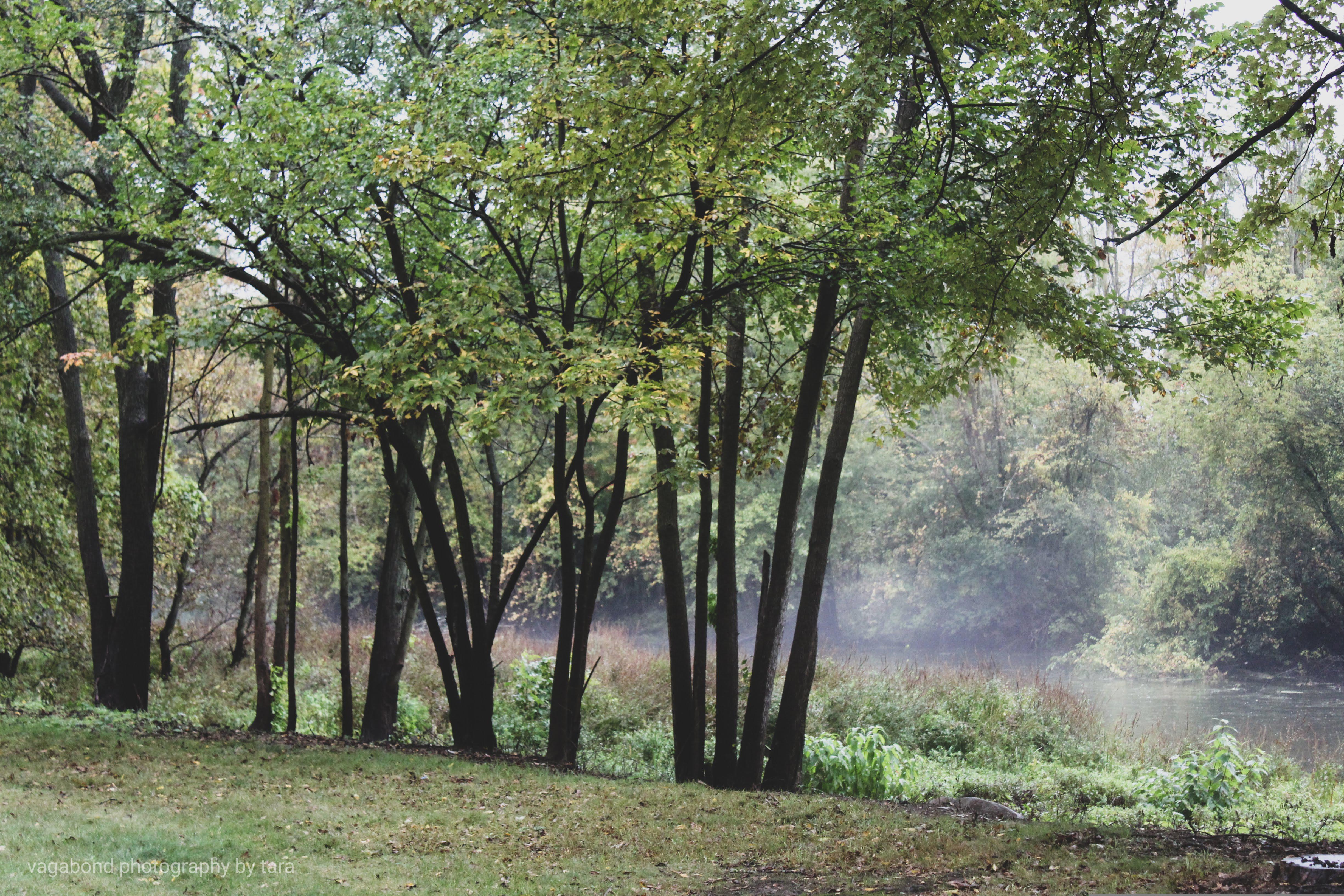 Battle Creek Area Clean Water Partnership Photo