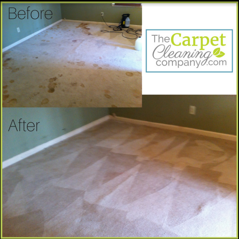 The Carpet Cleaning Company