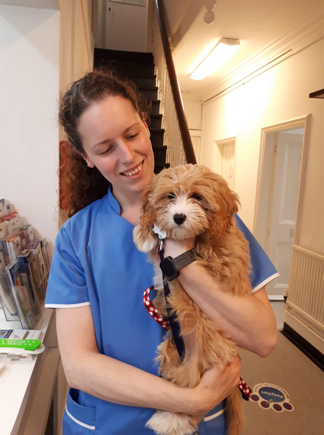 Ashfield House Veterinary Surgery, Bramcote Nottingham 01159 491615