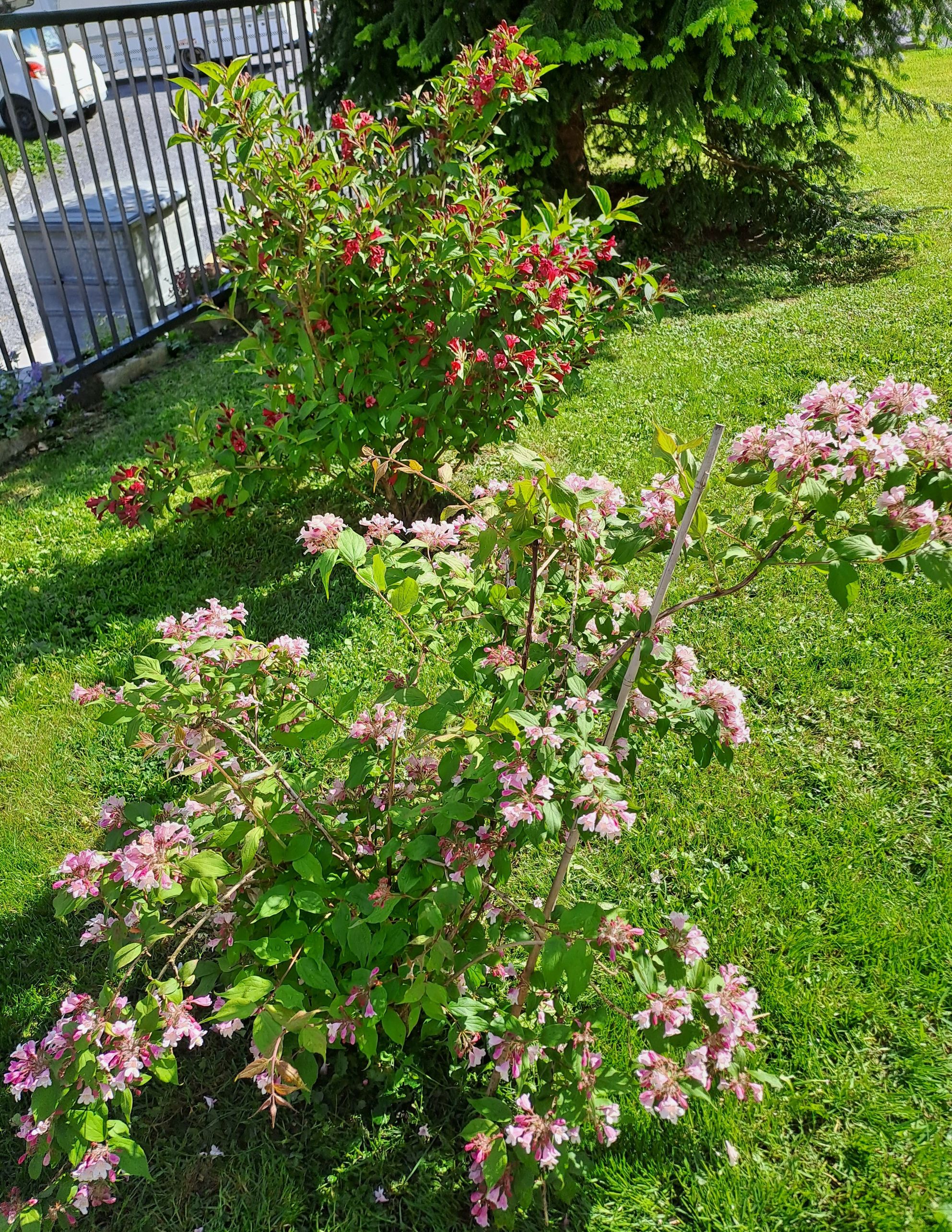 Bruno Winet, Privatgärtner, Im Hof 1 in Bilten