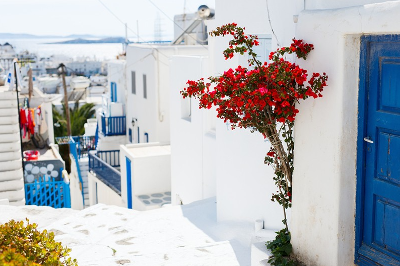 Images Superior Cruise & Travel, a KROZ Company