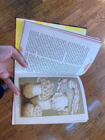 Images Rising Phoenix Entheogenic Temple (Mushroom Church)