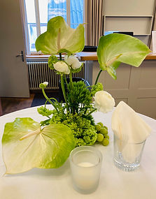 Emilia Mihalydeakpal DaMa Pflanzendesign, Felsplattenstrasse 24 in Basel