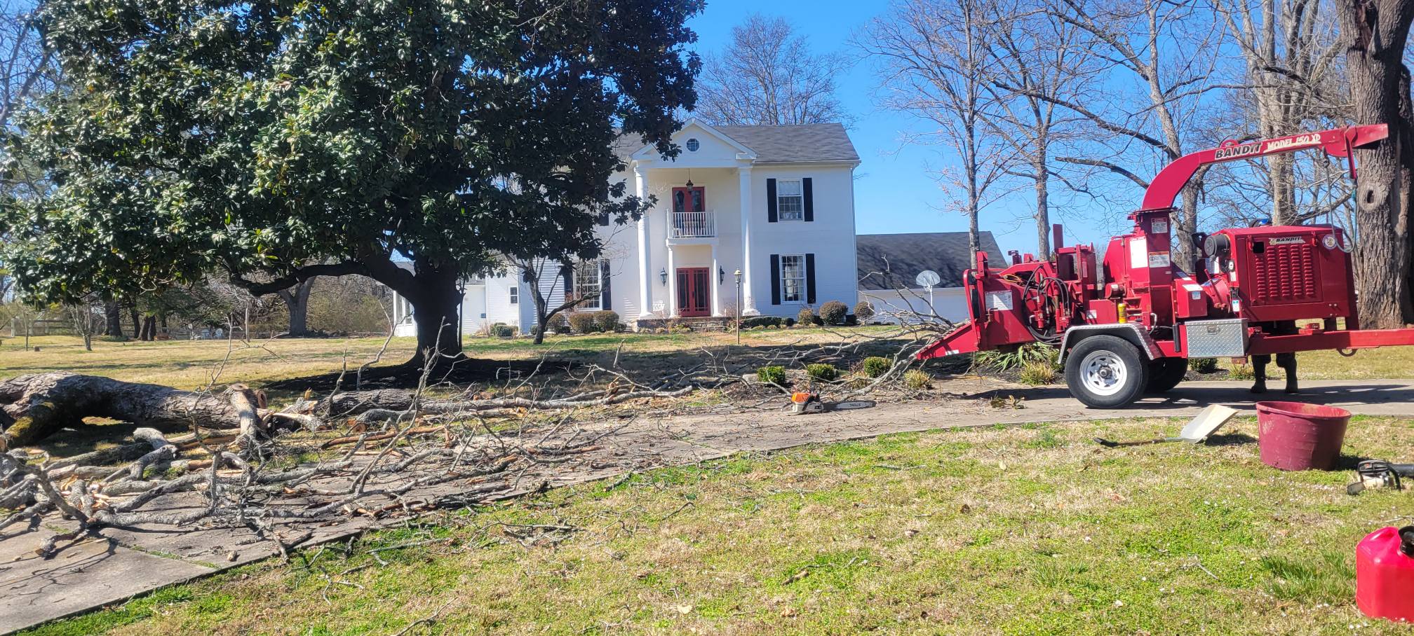 Roseboro's Tree Works Image