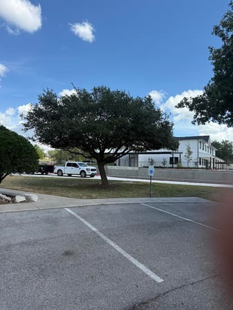 Images Twisted Oaks Tree Services LLC