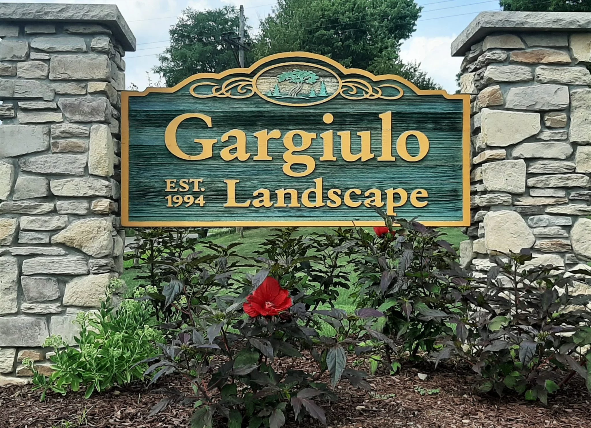 Gargiulo Landscape Image