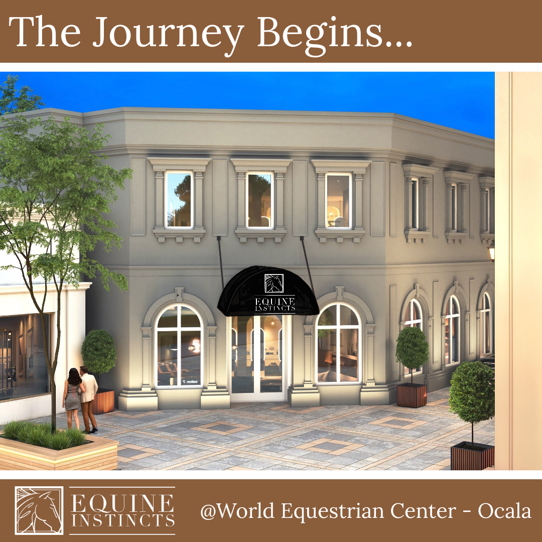 6200 Sq Ft Gallery Coming 2026 @ The Shoppes on 80th Ave, World Equestrian Center Ocala FL