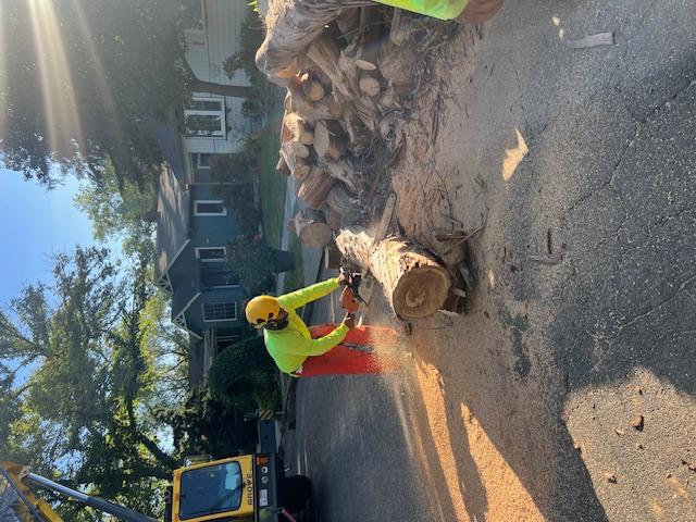 Images Haman Landscape and Tree Service