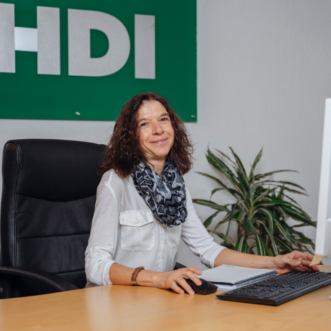 HDI Versicherungen: Oliver Ganter, Hauptstr. 33 /1 in Schramberg