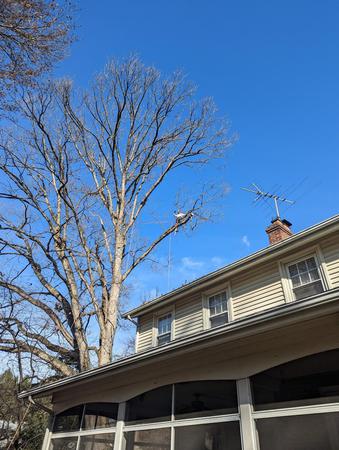 Images Grind Time Tree Service
