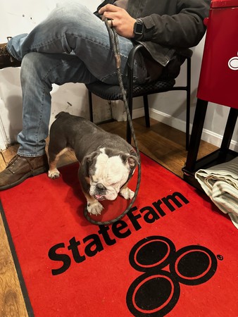 Images Ryan Nash - State Farm Insurance Agent