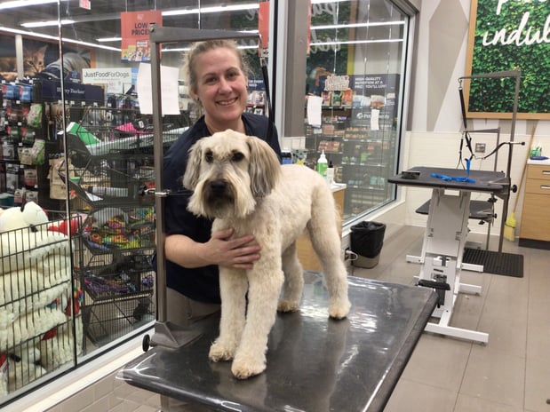 Images Petco Grooming