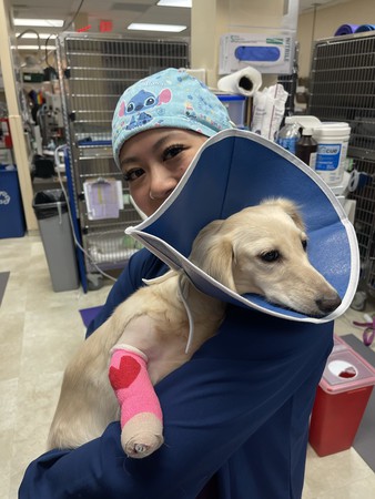 Images VCA SouthPaws Veterinary Specialists & Emergency Center