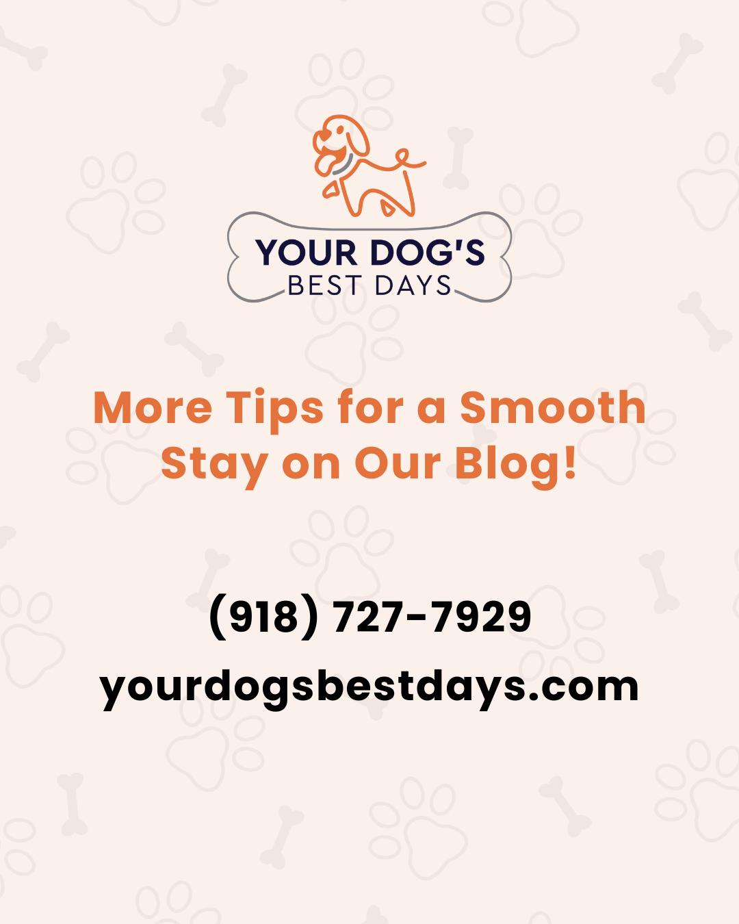 Your Dog’s Best Days branded post sharing helpful tips for a smooth dog boarding or daycare stay.