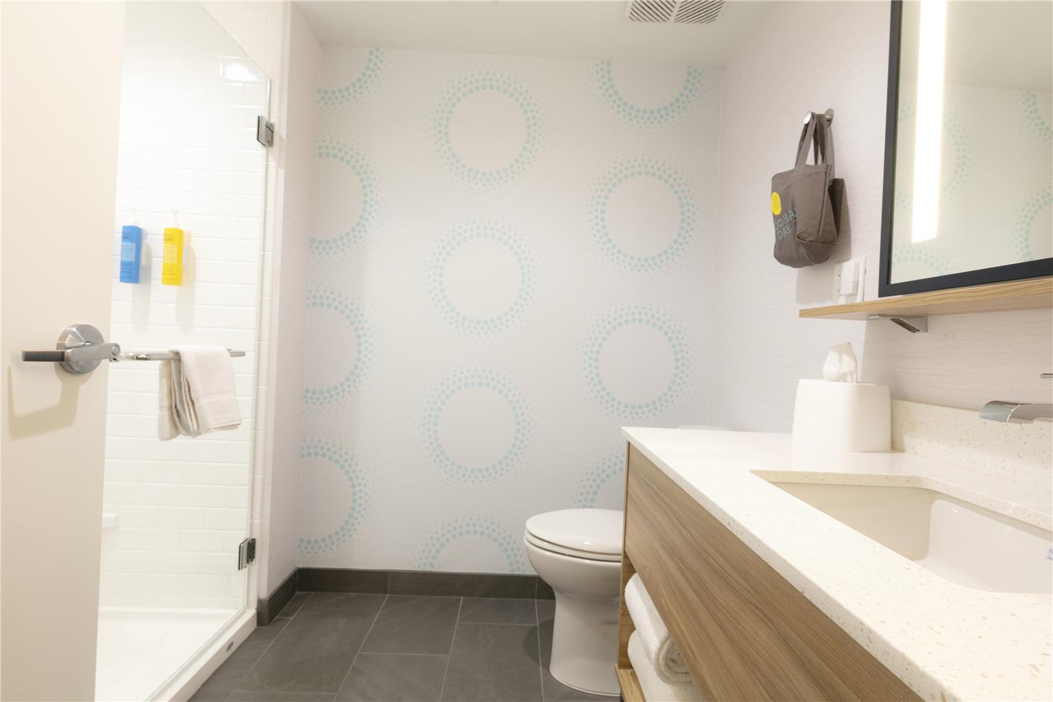 Guest room bath 