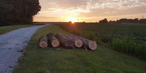 Images Indiana Strong Tree Service