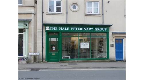 Hale Veterinary Group, Calne Surgery Calne 01249 815563