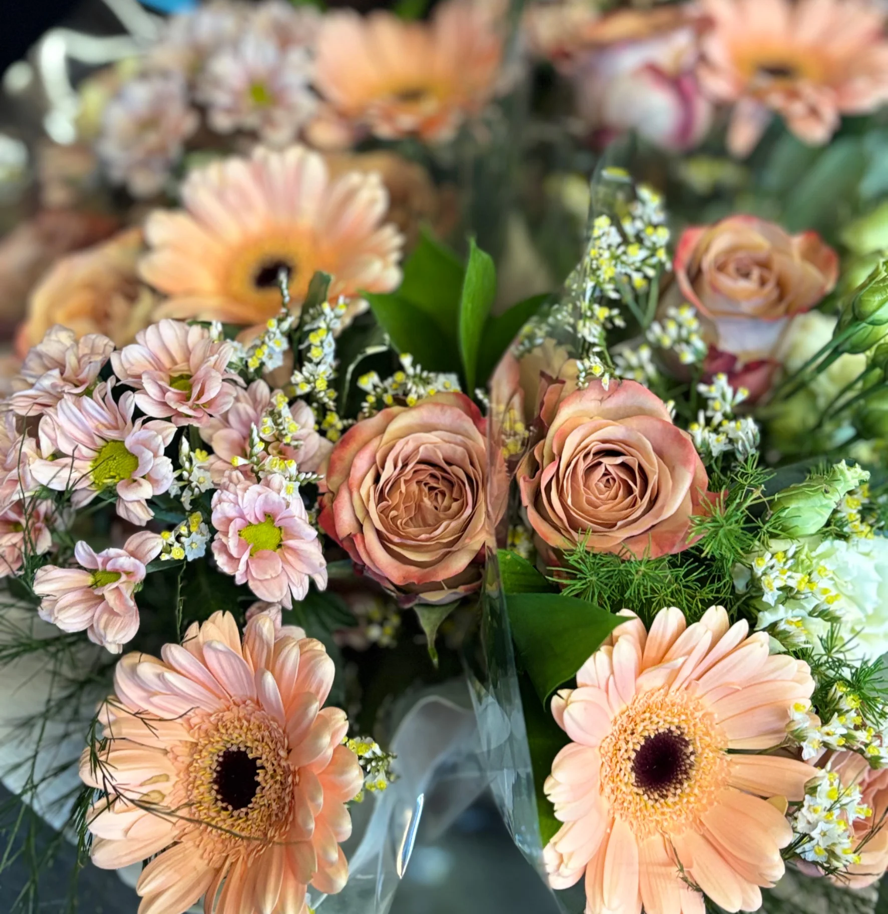 Images Kukkapysäkki