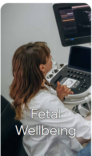 Early Pregnancy / Dating Scan, Fetal Wellbeing Scan, 3D / 4D Scan, Gender Scan, Fetal Anomaly Scan, Transabdominal/Transvaginal Scan, NIPT (Non-Invasive Prenatal Testing), Gender Determination Test, Early Pregnancy Review, Heartbeat Bear, Gender Reveal Cannon, Gender Reveal Balloon