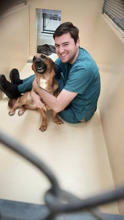 Images VCA Sawmill Animal Hospital