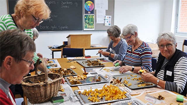Images SeniorHøjskolen, Nr. Nissum