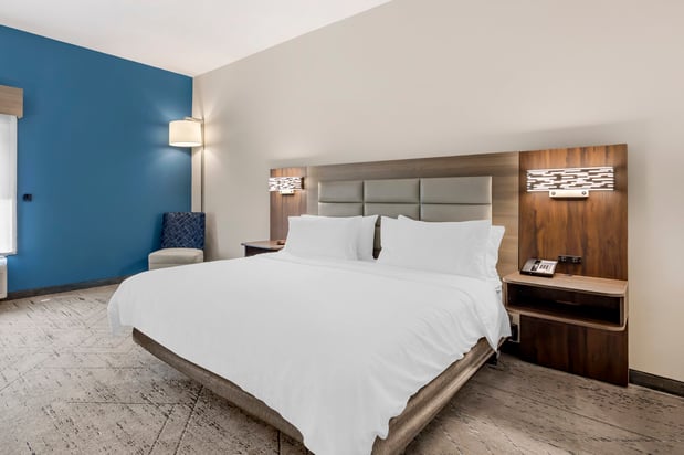 Images Holiday Inn Express & Suites Nashville Southeast - Antioch by IHG