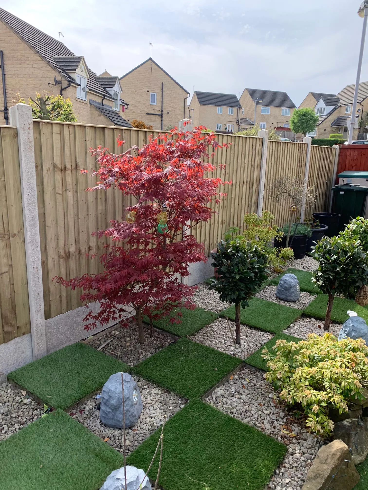 Images D & E Landscapes