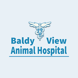 Baldy View Animal Hospital