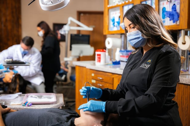 Images Condie Orthodontics