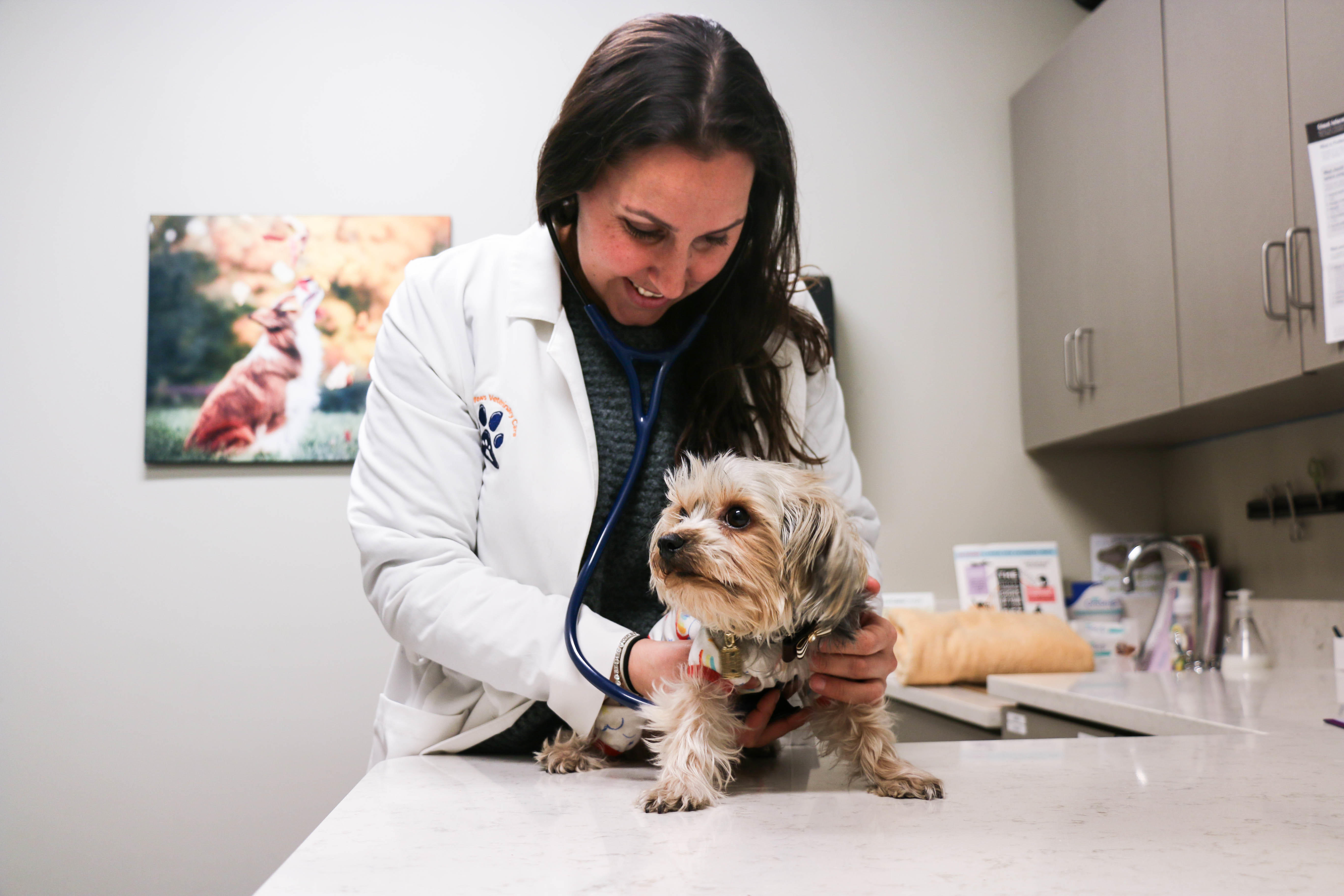 Solely by listening to breathing patterns, your veterinarian can assess general pulmonary health.