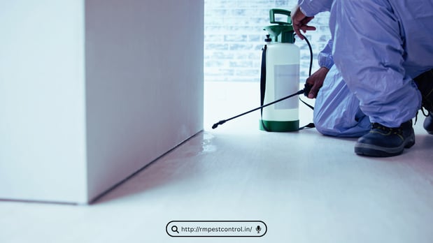 Images Pest Control Los Angeles