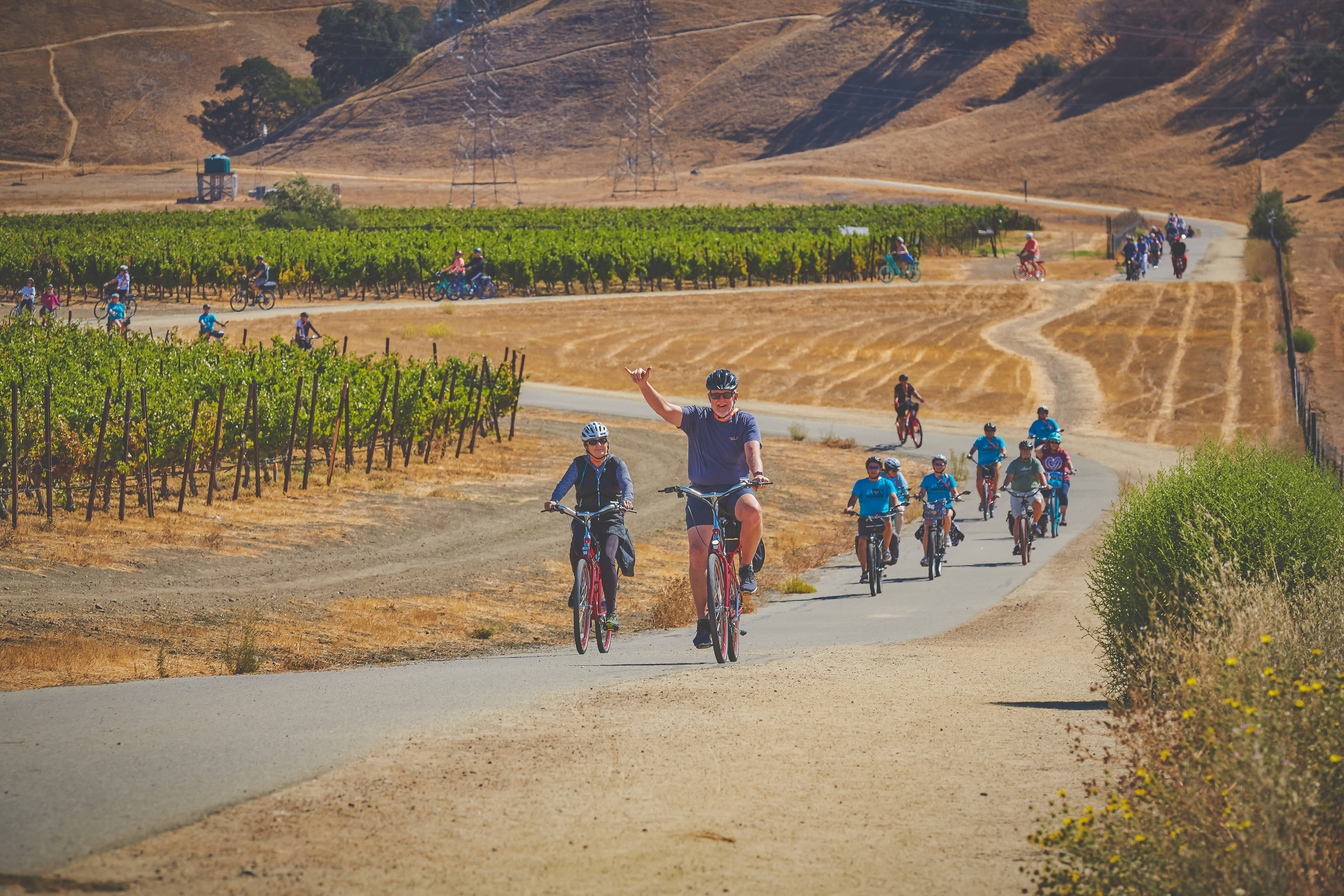 <h1>Pedego Electric Bikes Livermore</h1> hero image