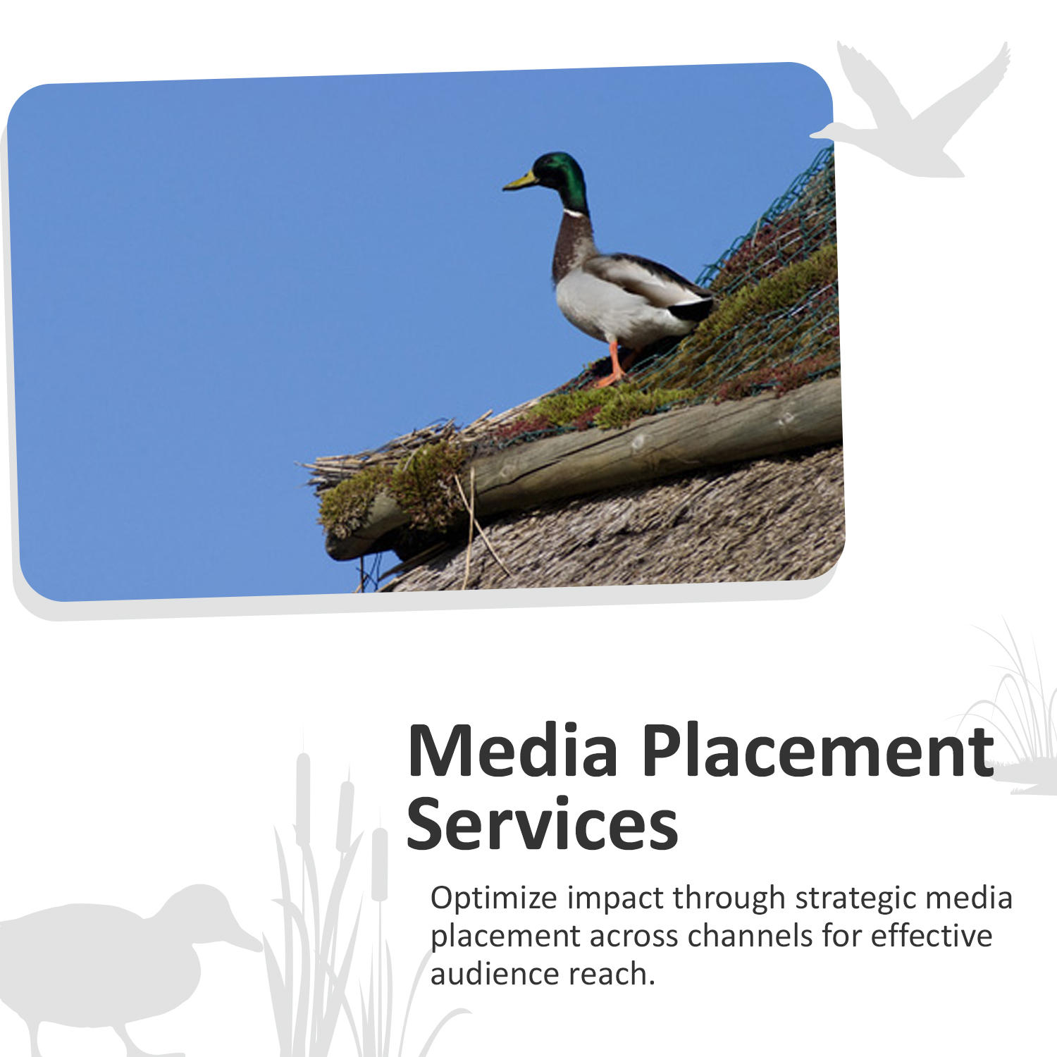 Creating media is one thing; finding an audience is another. See how Paradux can help you expand your audience reach with strategic media placement. Learn More: https://paraduxmedia.com
