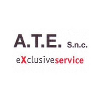 A.T.E. Exclusive Service - Elettrodomestici Riparazioni Logo