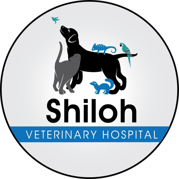 Shiloh Veterinary Hospital Logo