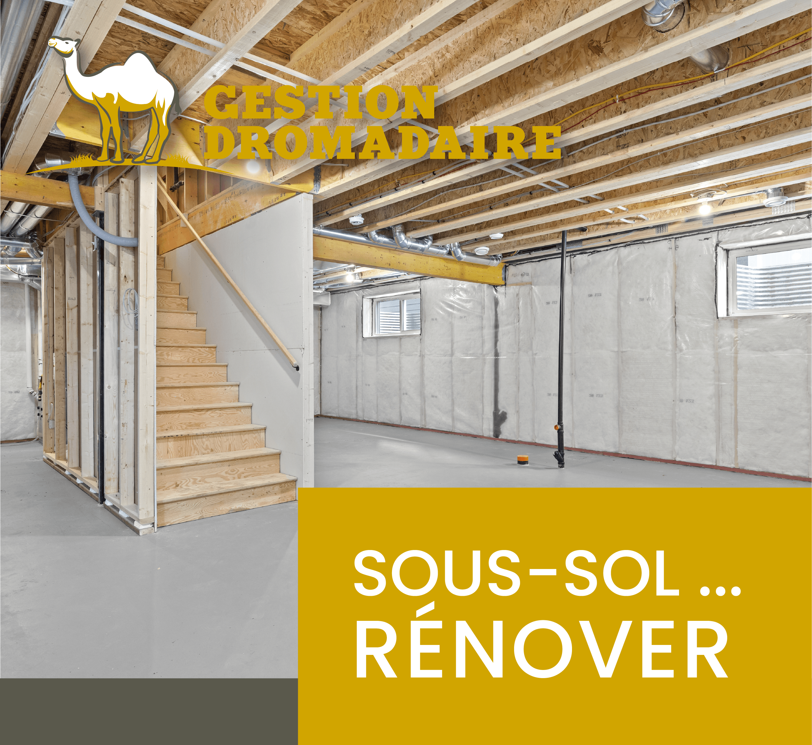 Images Gestion Dromadaire Inc