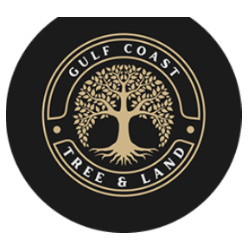 Circular Image