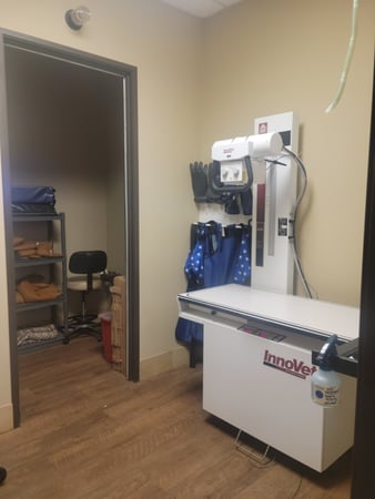 Images VCA Saginaw Animal Hospital