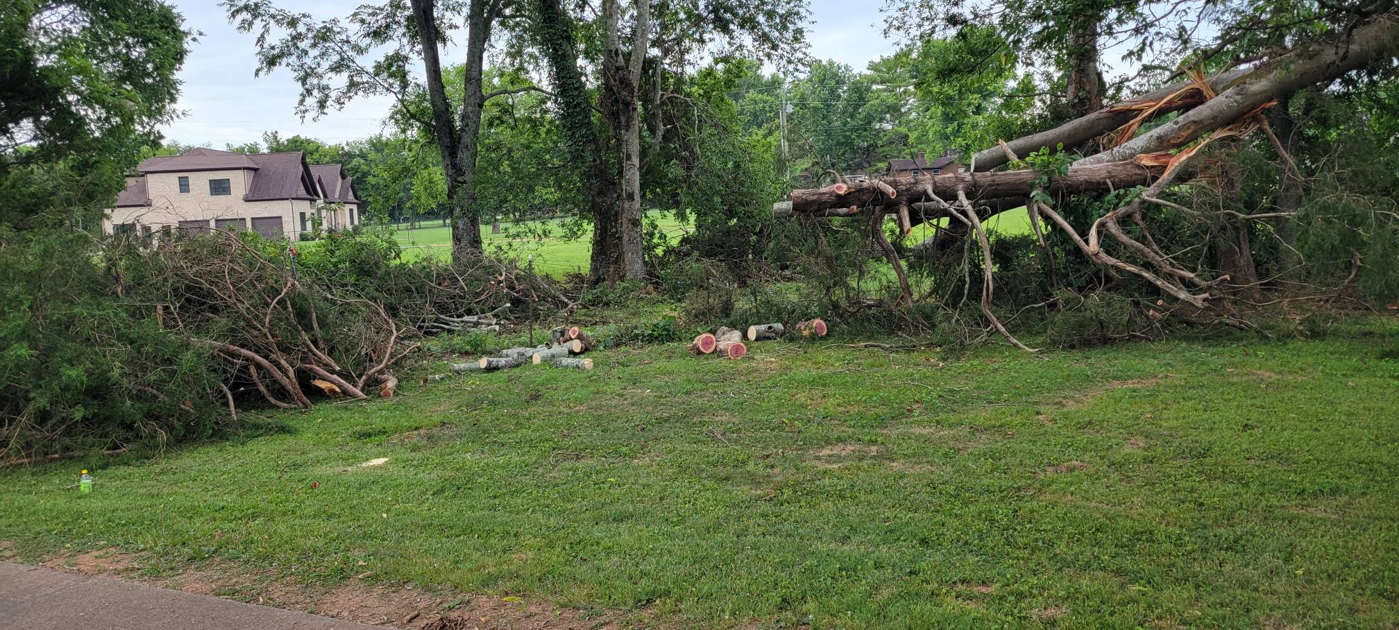 Roseboro's Tree Works Image