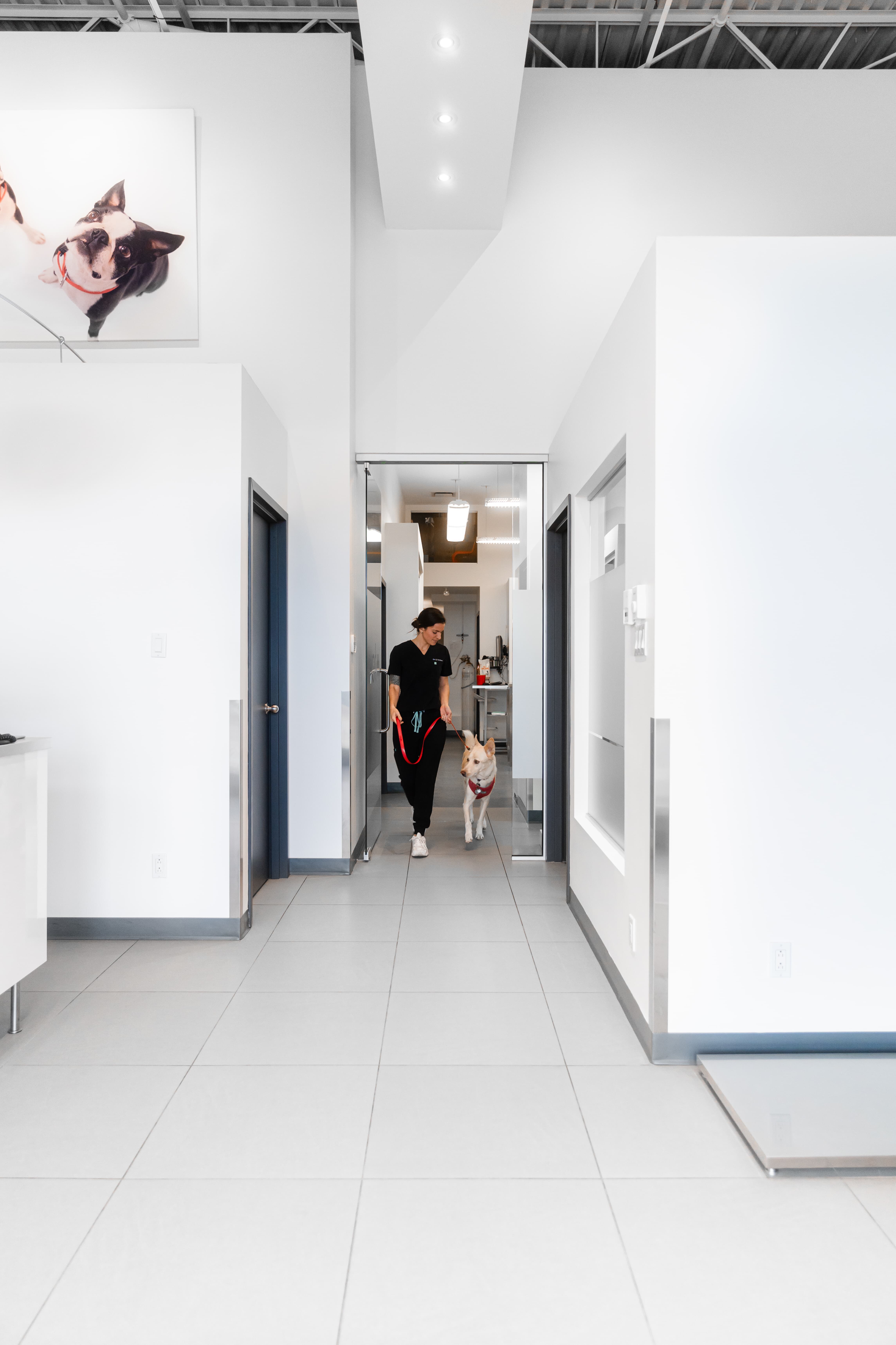 Images Clinique Vétérinaire Quartier Dix30