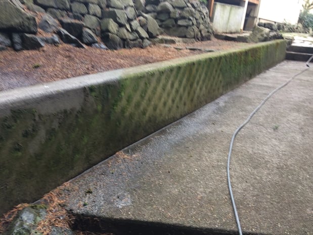 Images Rite Size Pest Control and Moss Removal