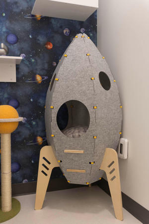Images Cozy Cat Suites