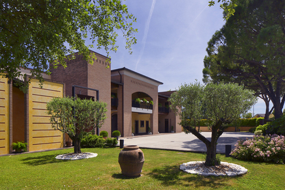 Images Ai Galli Azienda Agricola Vitivinicola