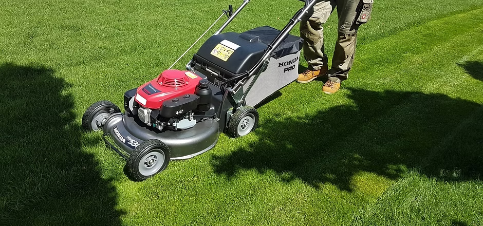 Bild 8 von Krstic Boban Ing - Gartenpflege