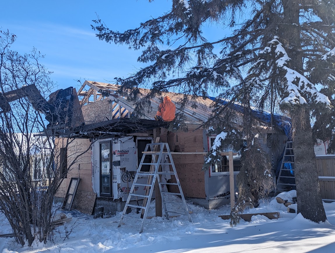 Images The Blue Spruce Builder