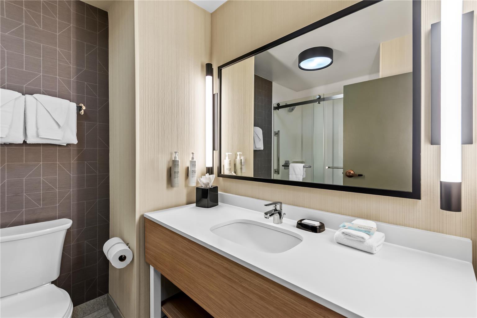Guest room bath 