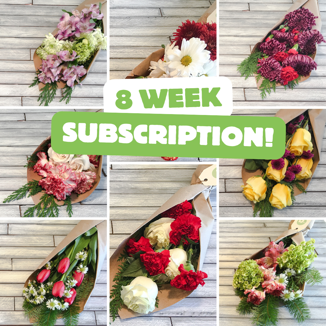 My Little Posy Image