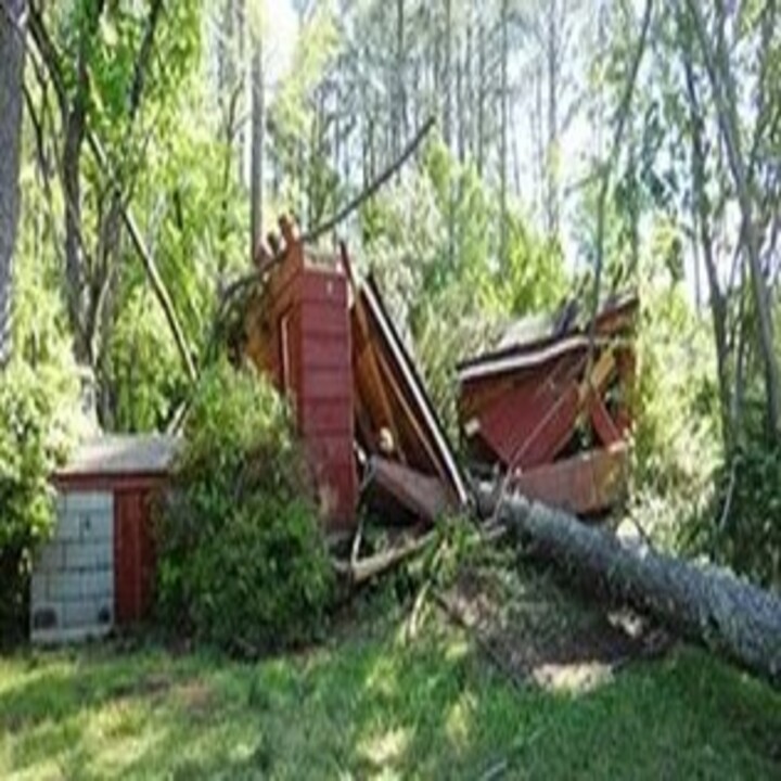 Images Childress Complete Tree Service