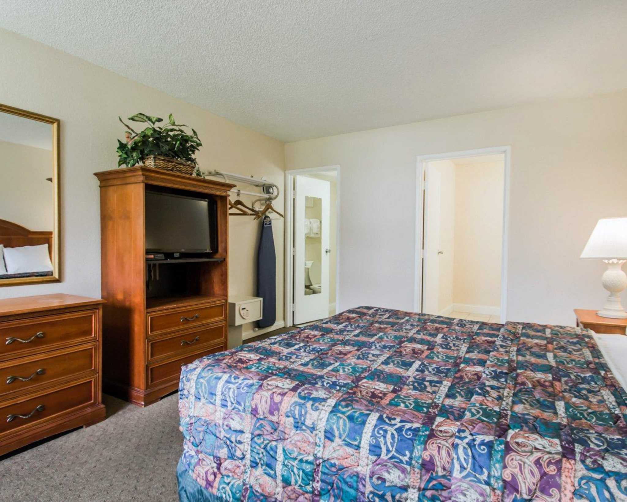 Pet Friendly Hotel Rooms In Kissimmee Florida Pet Friendly Hotel Rooms In Kissimmee Florida